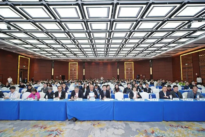 无码AV动漫精品一区二区免费