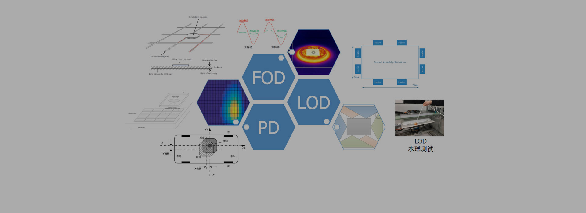 无码AV动漫精品一区二区免费