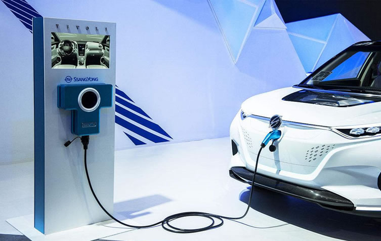 无码AV动漫精品一区二区免费