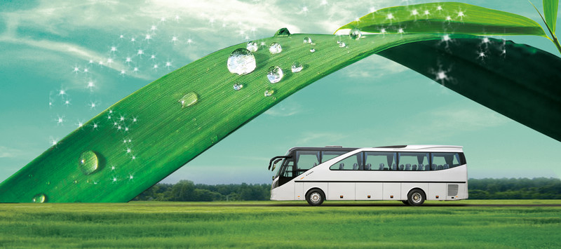 无码AV动漫精品一区二区免费